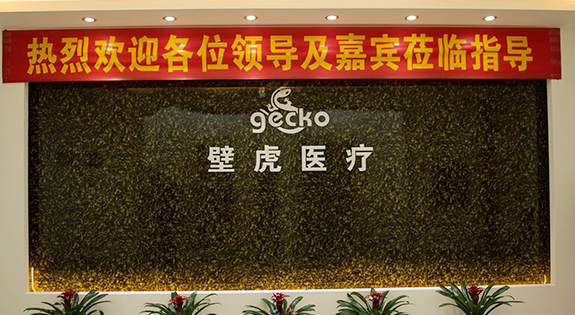 壁虎醫療 壁虎醫療